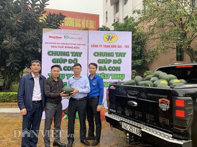 TKV hỗ trợ ngư dân Quảng Ninh tiêu thụ hơn 11 tấn nhuyễn thể - Ảnh 3.