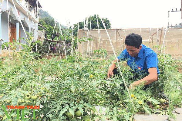 Nông thôn mới Sơn La: Đâu cần thanh niên có – Đâu khó có thanh niên - Ảnh 9.