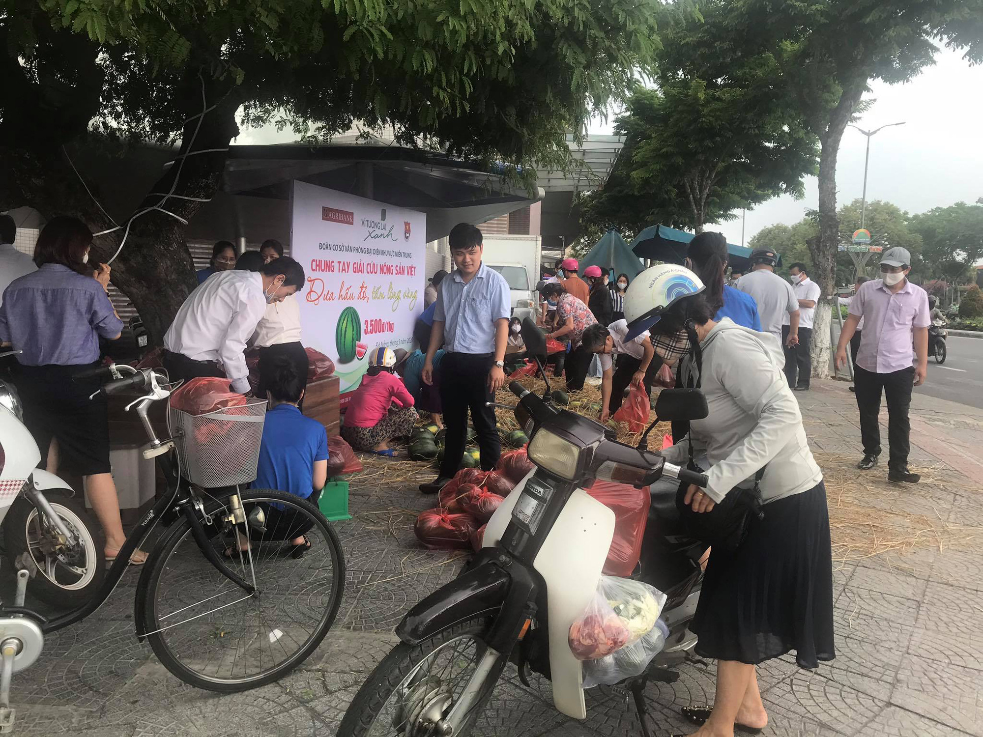 Agribank miền Trung: Chung tay giải cứu nông sản Việt - Ảnh 5.