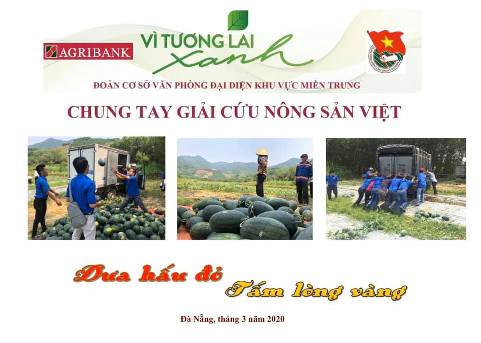 Agribank miền Trung: Chung tay giải cứu nông sản Việt - Ảnh 6.