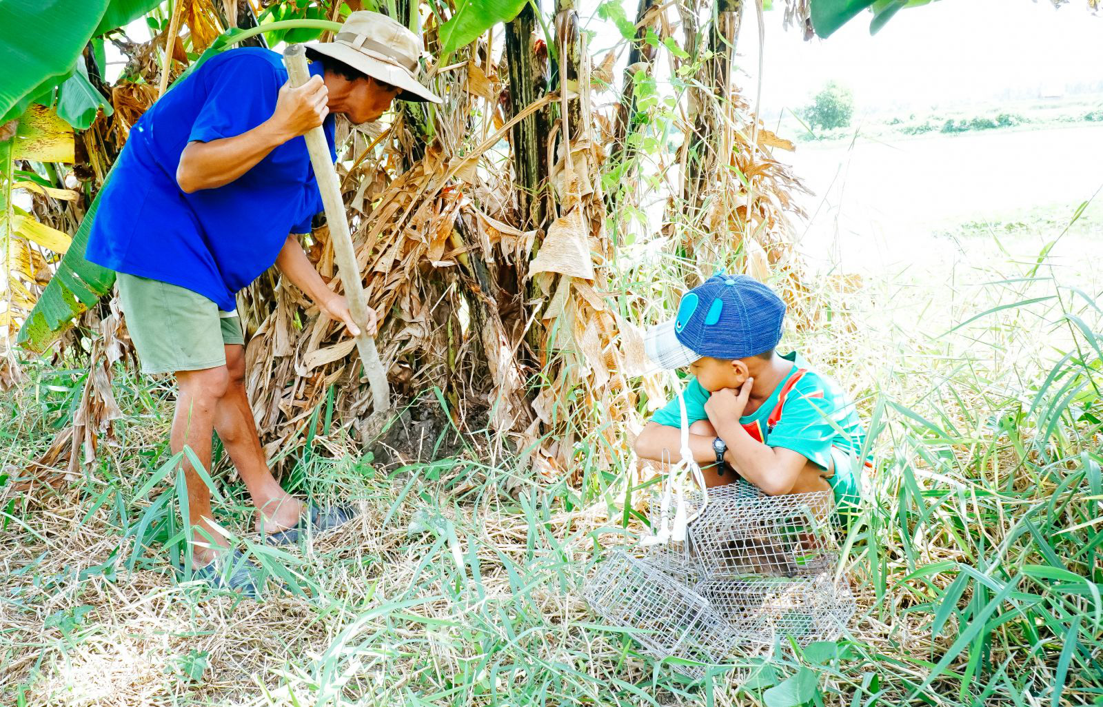 Theo chân cha con anh Chuột săn bắt chuột trên "Đồng Chó Ngáp" - Ảnh 3.