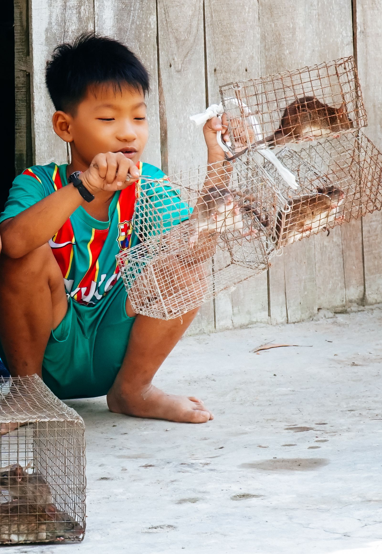 Theo chân cha con anh Chuột săn bắt chuột trên "Đồng Chó Ngáp" - Ảnh 5.