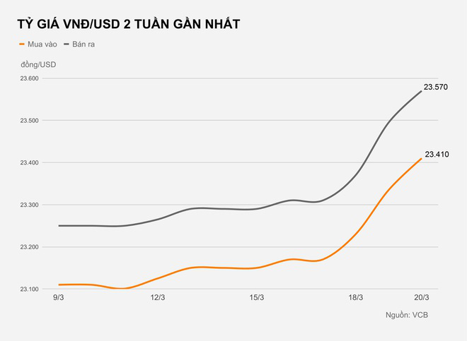 Nguyên nhân tỷ giá VND/USD tăng mạnh - Ảnh 1.