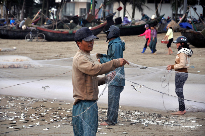 Được mùa cá trích, ngư dân xứ Thanh kiếm tiền triệu mỗi ngày - Ảnh 3.