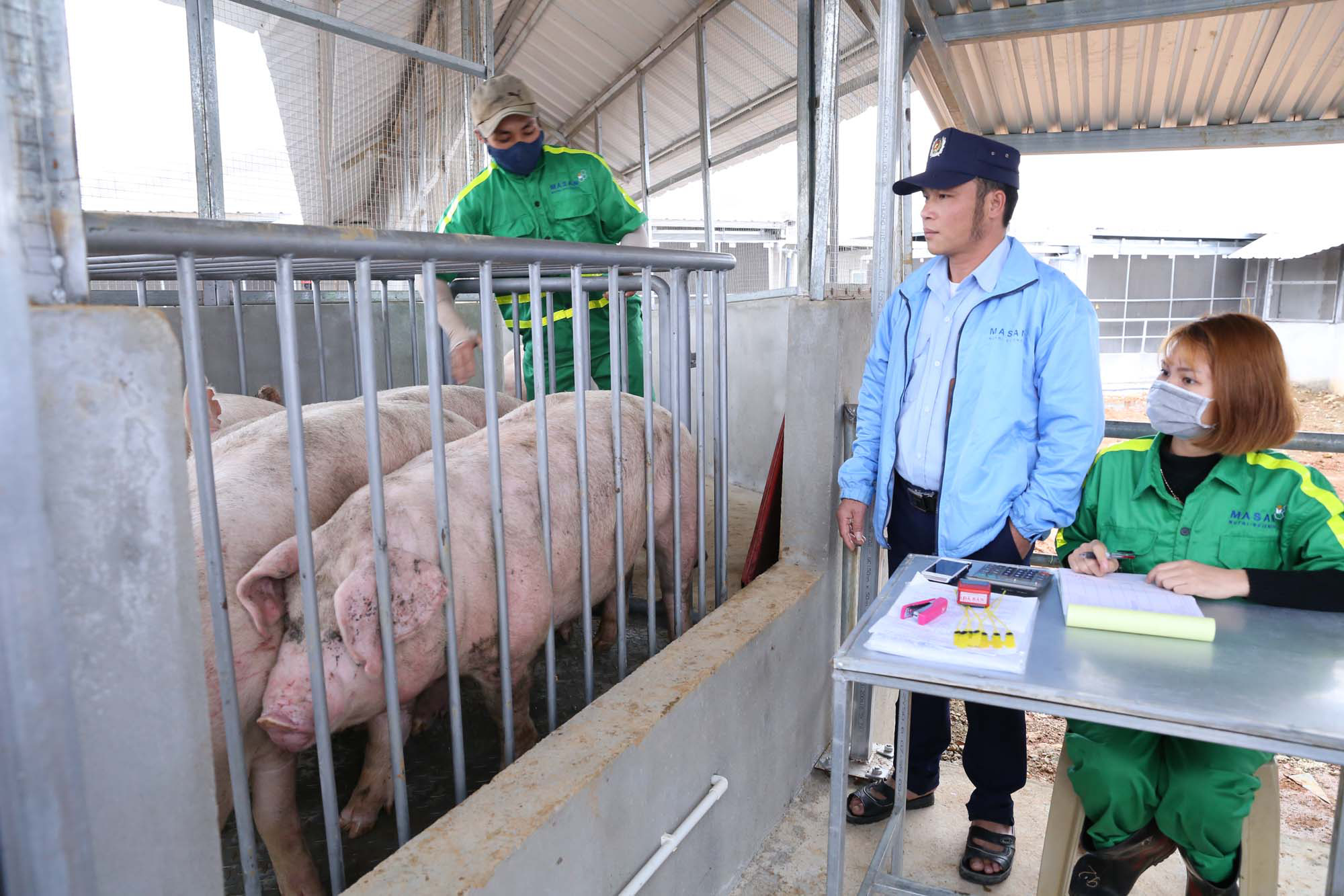 Giảm giá thịt lợn: “Ông lớn” cần bắt tay, cắt bớt khâu trung gian - Ảnh 4.