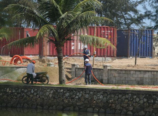 Hà Tĩnh: Phạt doanh nghiệp tự “trồng” 130 container trong rừng phòng hộ - Ảnh 4.