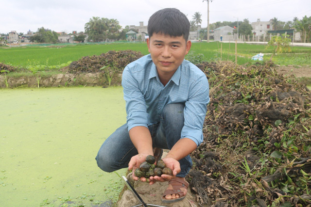 Về quê nuôi ốc nhồi đẻ khỏe lớn nhanh, trai điều dưỡng đổi đời - Ảnh 2.