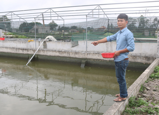 Về quê nuôi ốc nhồi đẻ khỏe lớn nhanh, trai điều dưỡng đổi đời - Ảnh 3.