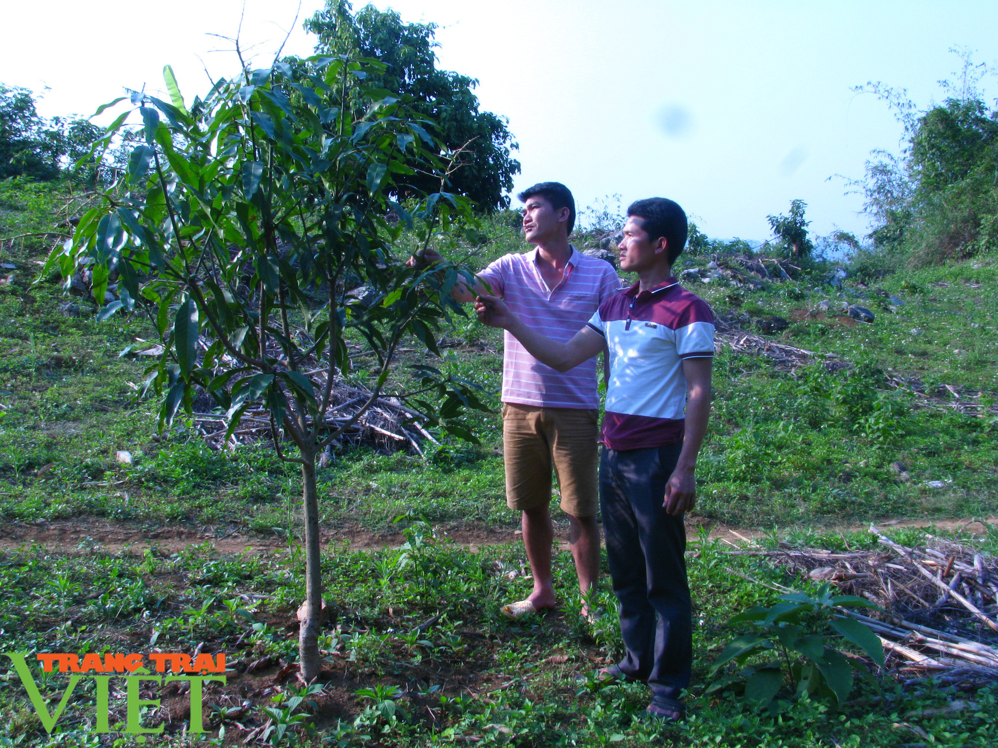 Nông thôn mới Sơn La: Chiềng Ngàm hôm nay - Ảnh 4.