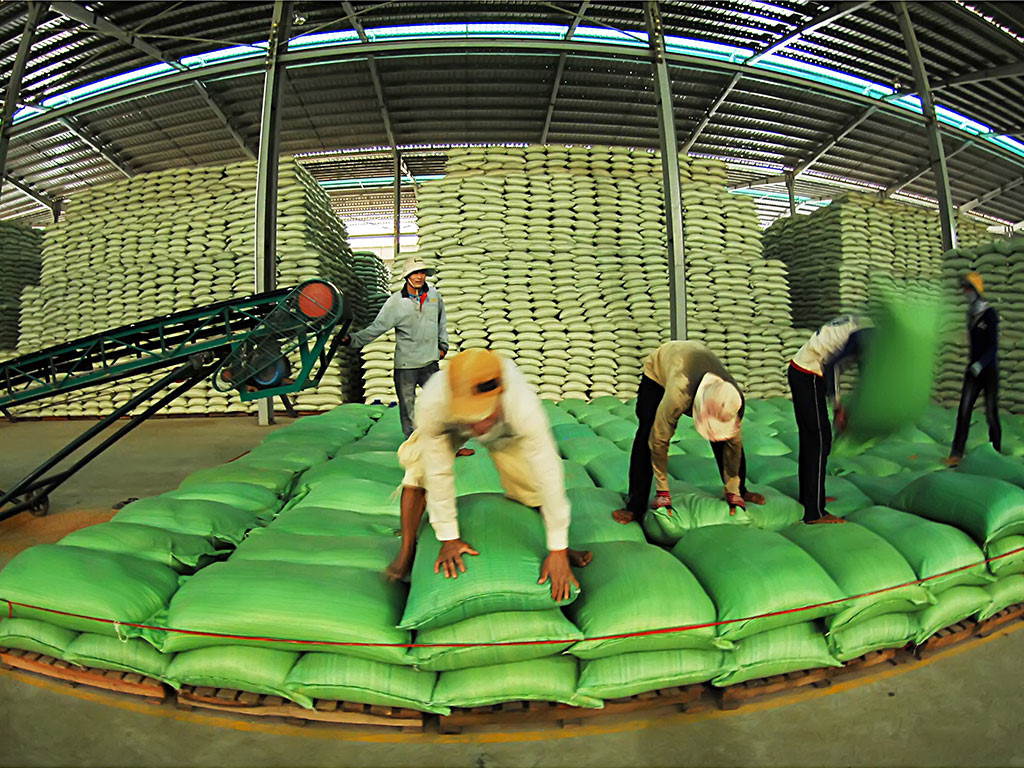 Bộ Công thương lại hỏa tốc xin ý kiến Bộ Tài chính về xuất khẩu gạo - Ảnh 1.