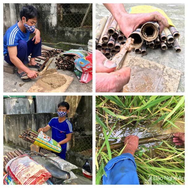 Nhờ mồi nhử này, nông dân xứ Nghệ kiếm nửa triệu ngon ơ nhờ bắt lươn đồng - Ảnh 2.