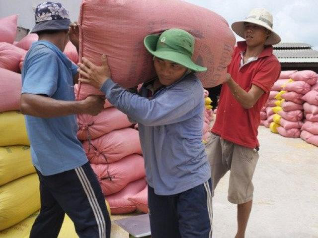 2 "ông lớn" ngành lúa gạo lên tiếng về việc tạm dừng xuất khẩu gạo