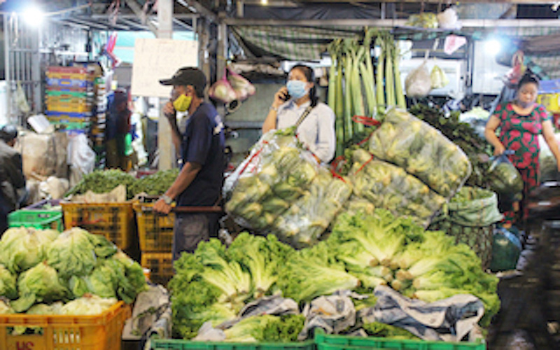 Covid-19: Đã có tàu hàng khởi hành đưa rau củ đi Nhật, Hàn, EU - Ảnh 1.