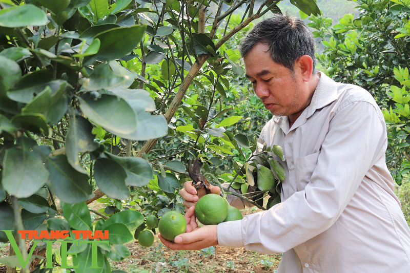 “Bà đỡ” thúc đẩy xây dựng nông thôn mới ở Quỳnh Nhai - Ảnh 2.