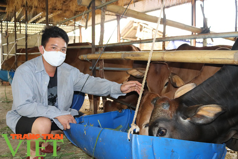 “Bà đỡ” thúc đẩy xây dựng nông thôn mới ở Quỳnh Nhai - Ảnh 1.