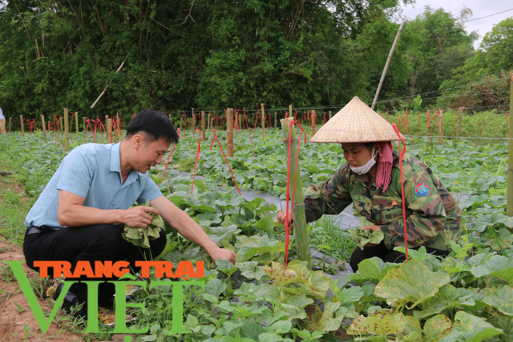 Chuyện về một cán bộ Hội &quot;vác tù và hàng tổng&quot; - Ảnh 5.