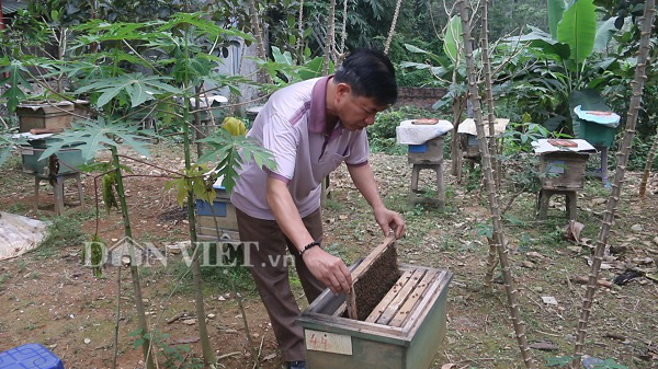 Nuôi 1 triệu con ví như "cảm tử quân", 1 nông dân xứ Mường phát tài - Ảnh 2.