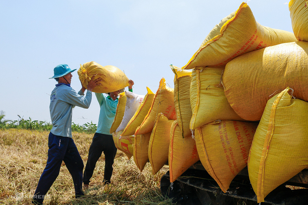 Thủ tướng đồng ý bỏ hạn ngạch, cho xuất khẩu gạo bình thường trở lại từ 1/5 - Ảnh 1.