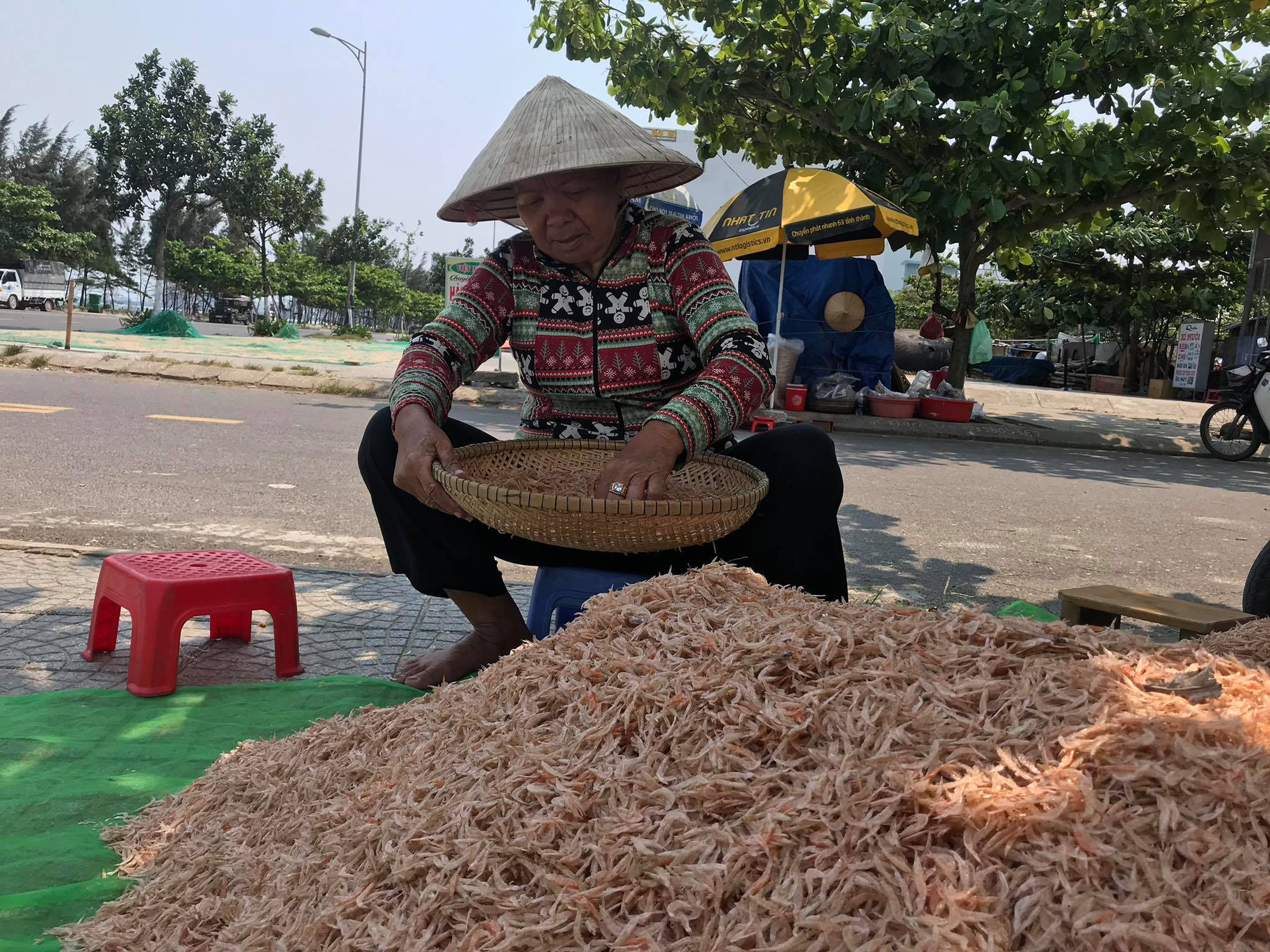 Phơi ruốc biển - Ảnh 4.