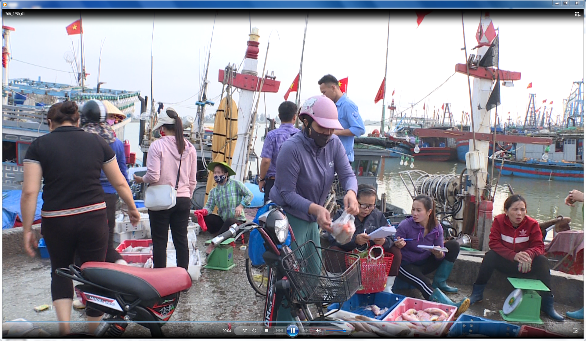 Ngư dân Thanh Hóa lao đao vì giá hải sản giảm mạnh - Ảnh 1.