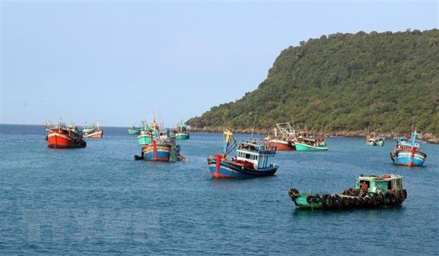 Hải sản rớt giá, ngư dân Quảng Ngãi vẫn kiên cường bám biển - Ảnh 1.