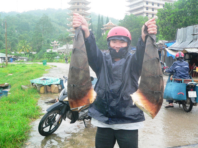 An Giang: Vùng Bảy Núi mưa rồi, tha hồ ăn đặc sản bọ rầy, ve sầu, "sống ảo" với hoa rừng - Ảnh 3.