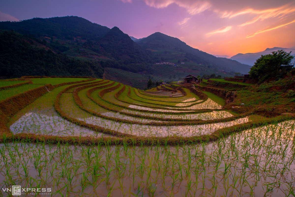 Vùng cao mùa nước đổ đẹp mê mẩn nhìn từ trên cao - Ảnh 11.