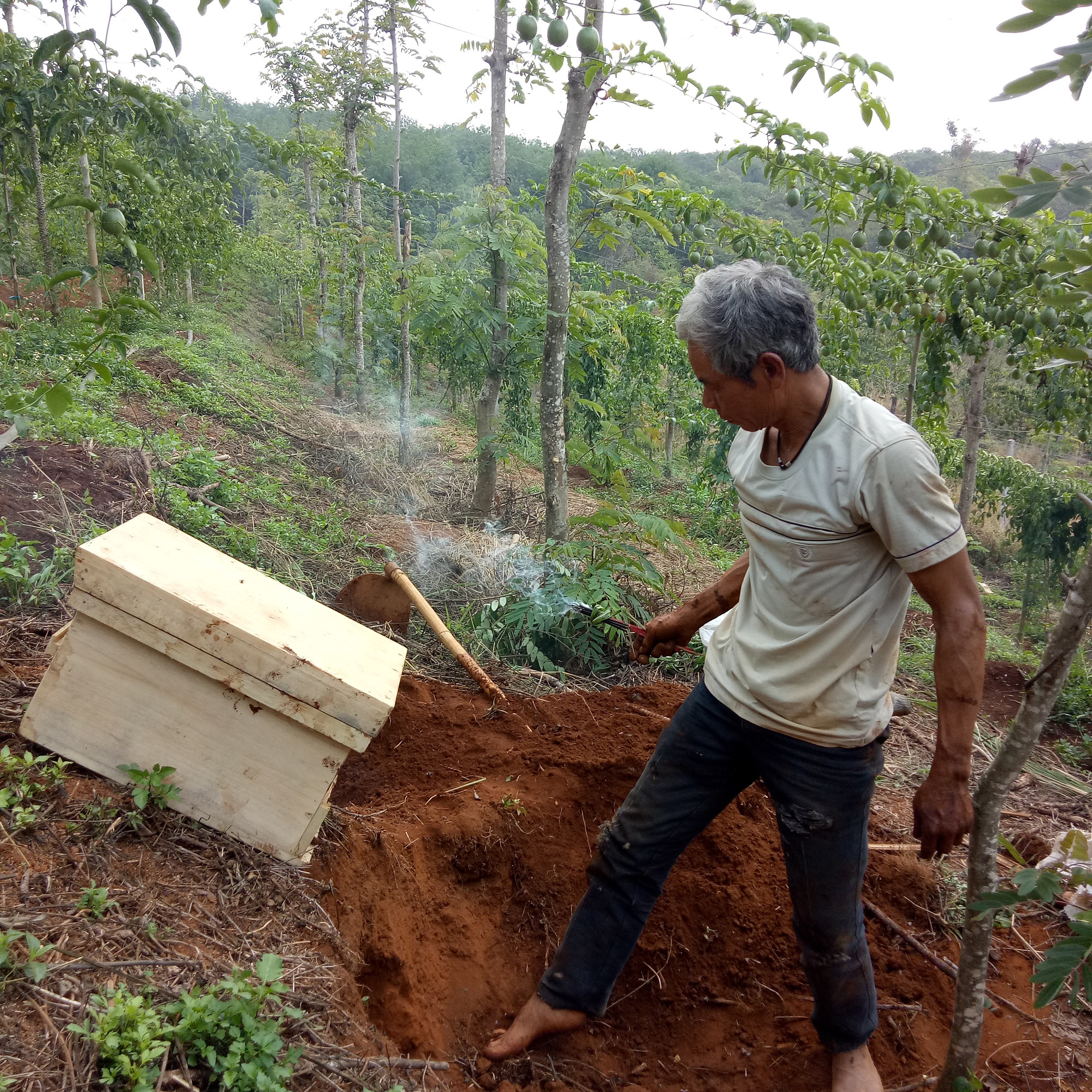 Săn lộc rừng - Ảnh 2.