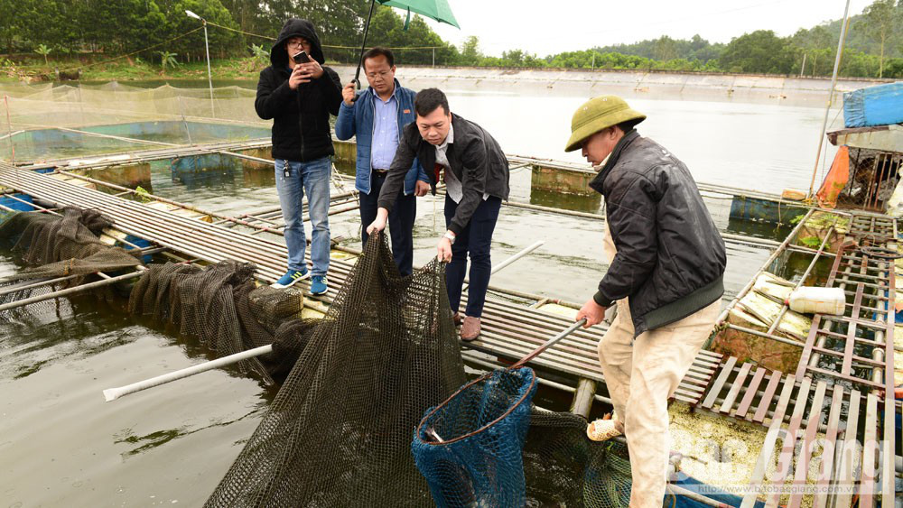 Bắc Giang: Vác con cá trắm đen &quot;siêu to khổng lồ&quot;, dân câu gọi là &quot;vua cá&quot; - Ảnh 4.