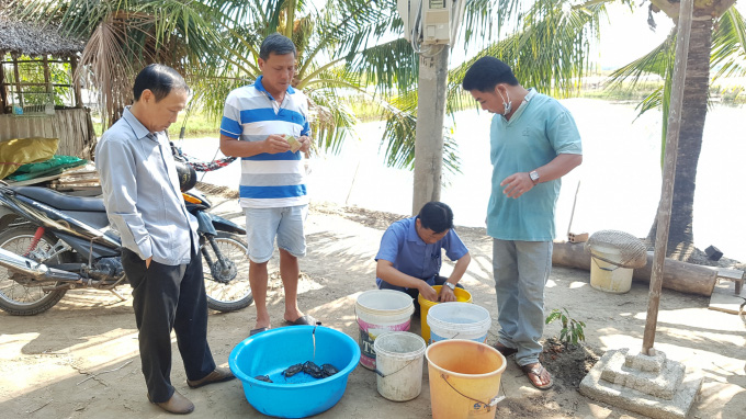 Nhà hàng, du lịch đón khách trở lại, giá cua tăng vụt - Ảnh 4.