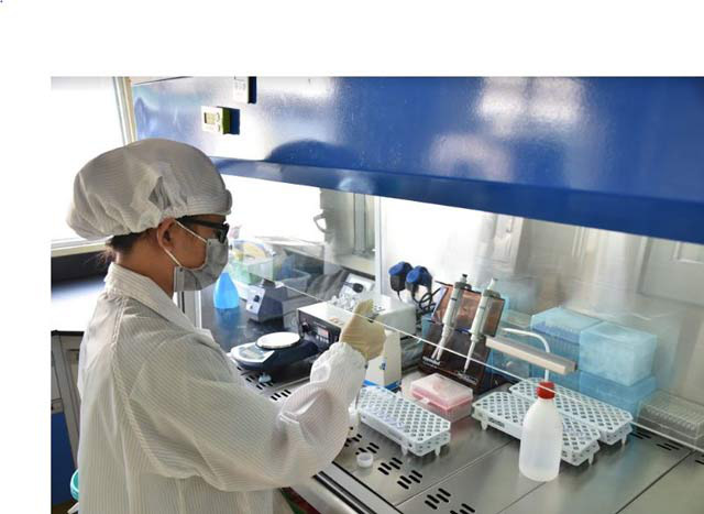 Tập đoàn Việt Úc đầu tư phòng xét nghiệm realtime PCR đạt chuẩn quốc tế - Ảnh 1.