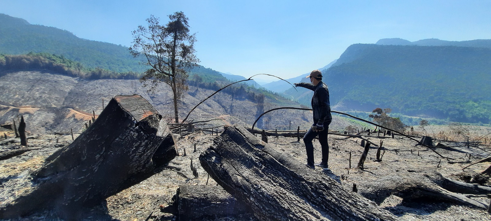 Vụ cháy rừng ở Quảng Nam: Mất trắng hơn 32 ha rừng phòng hộ - Ảnh 1.