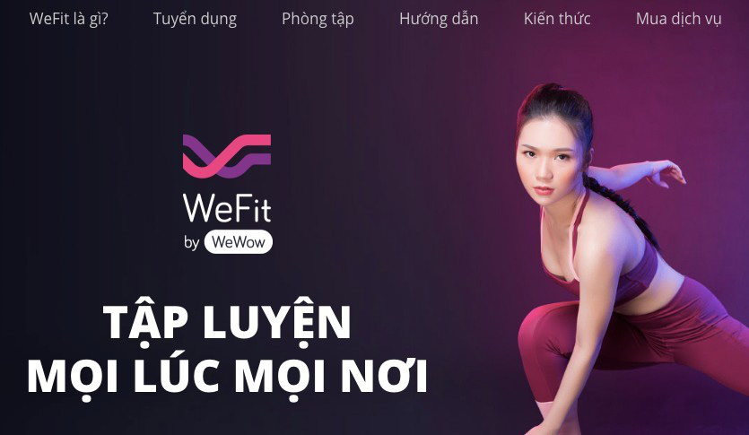 Vì đâu &quot;kỳ lân&quot; Wefit phá sản? - Ảnh 1.