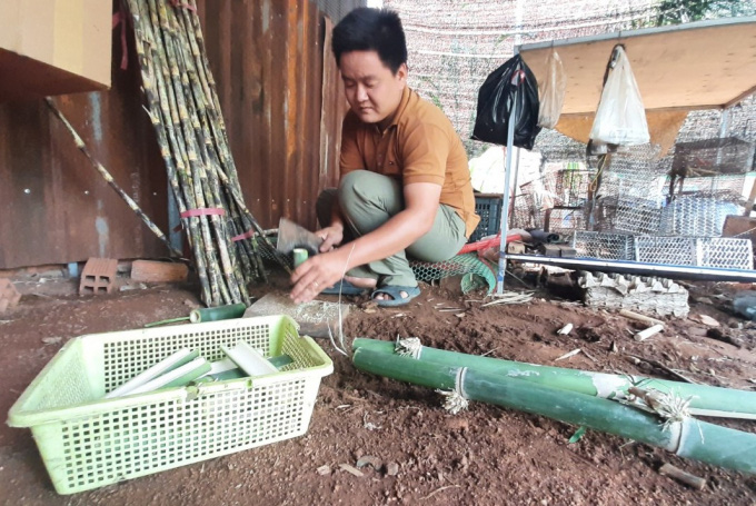 Nuôi loài vật &quot;ăn tre đẻ ra tiền&quot; - Ảnh 2.