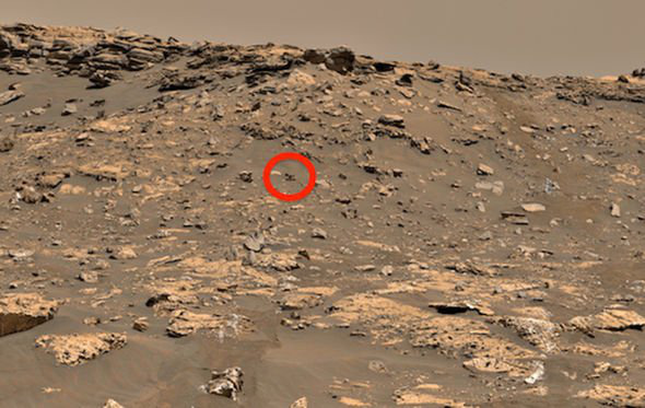 Phát hiện bức tượng kỳ lạ trên sao Hỏa, có thể là sinh vật sống - Ảnh 1.
