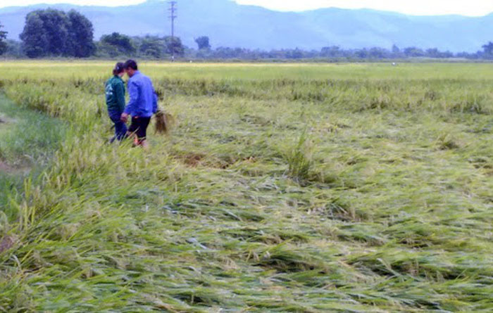 Hội nông dân giúp khắc phục hậu quả trận lốc xoáy kinh hoàng tại Hương Khê - Ảnh 1.