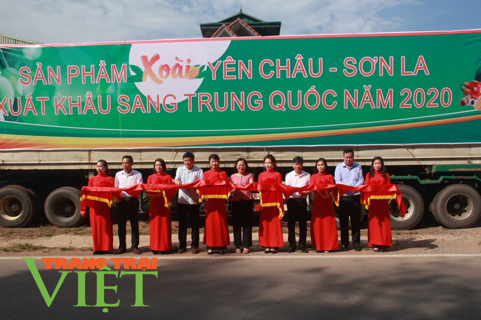 Xoài Yên Châu tiếp tục lên đường “xuất ngoại” - Ảnh 9.