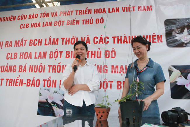 Choáng những giỏ lan đột biến hiếm thấy ở Hà Nội, giá hàng trăm triệu - Ảnh 12.