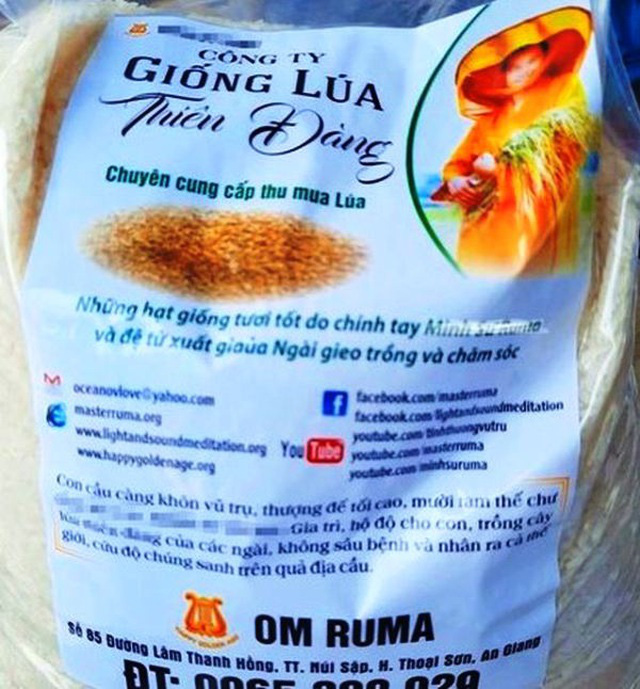 Ngăn chặn dùng giống lúa không phép Thiên Đàng - Ảnh 3.