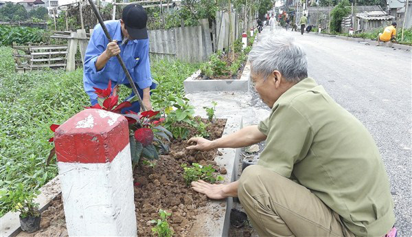 Độc đáo mô hình đường hoa, hàng cây nông dân ở Gia Lâm  - Ảnh 1.