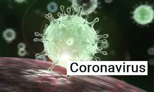 Chuyên gia nêu quá trình virus hóa lạ lùng chưa từng thấy như Covid-19 - Ảnh 1.