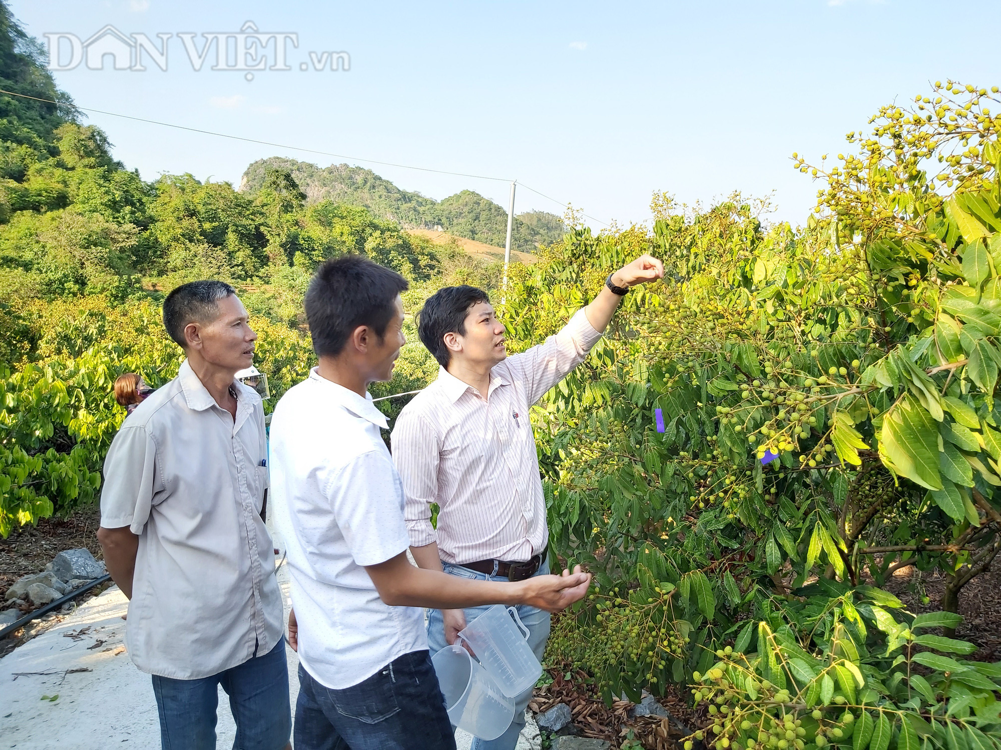Sử dụng thuốc BVTV đúng cách, dân Sơn La trồng xoài xuất khẩu - Ảnh 4.