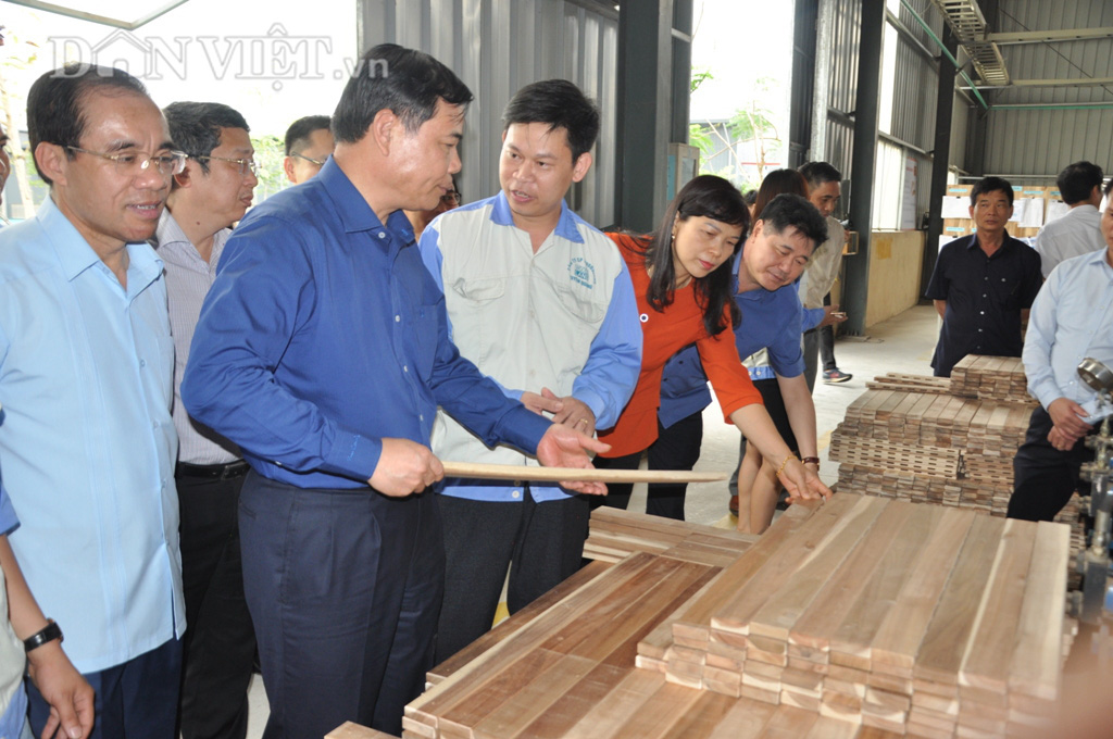 Vùng chè hữu cơ xứ Tuyên được Bộ trưởng Nguyễn Xuân Cường đến thăm có gì đặc biệt? - Ảnh 3.
