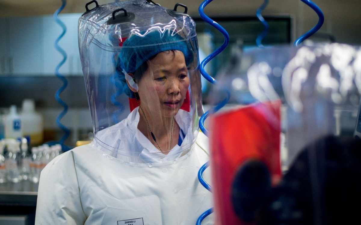 Nhà virus học tại phòng thí nghiệm Vũ Hán tiết lộ mới nhất về virus corona