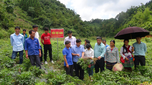 Cần triển khai nhanh, linh hoạt - Ảnh 1.