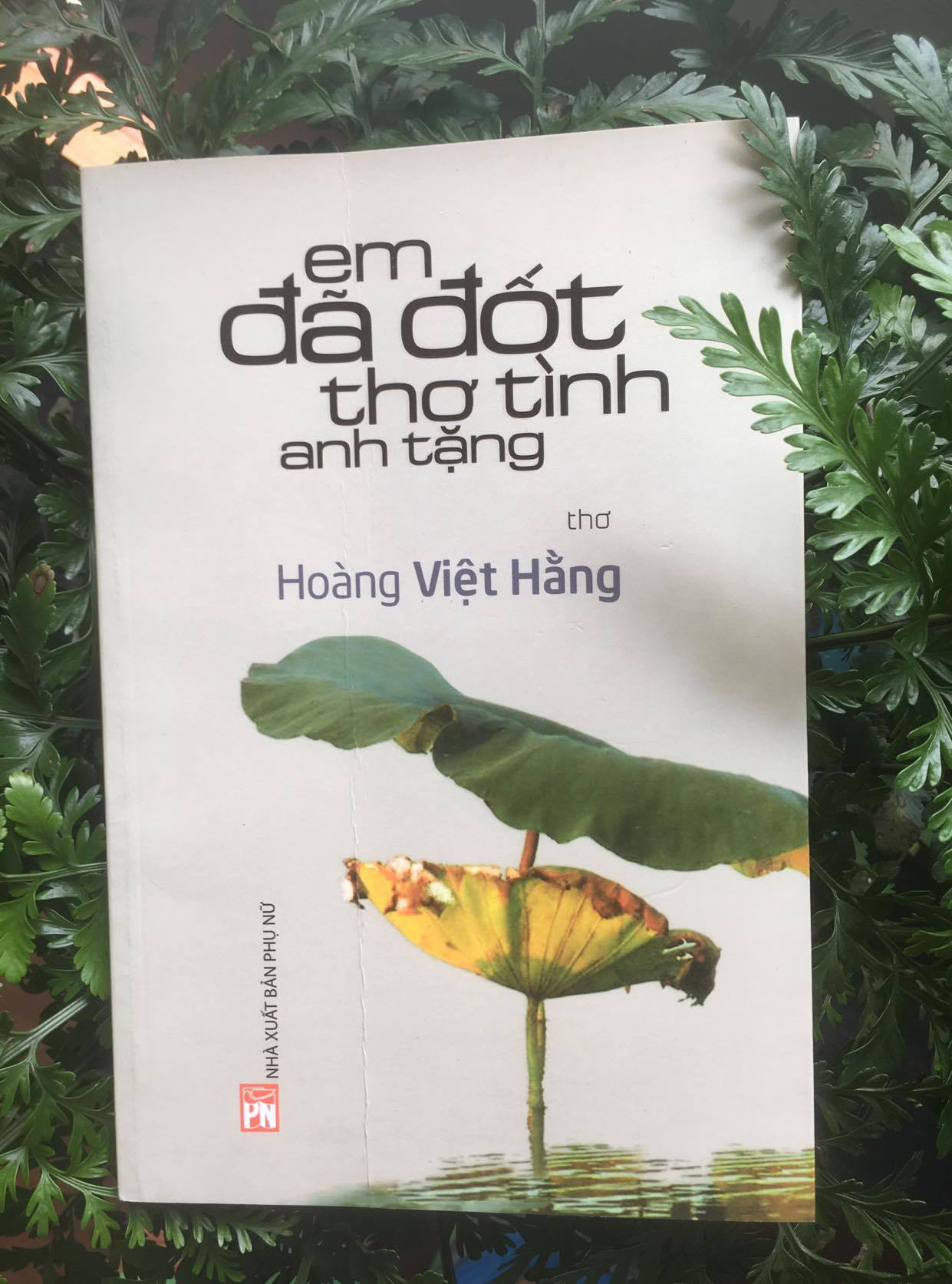 &quot;Tôi thuộc phía bầy cừu và váng cỏ&quot; - Ảnh 1.