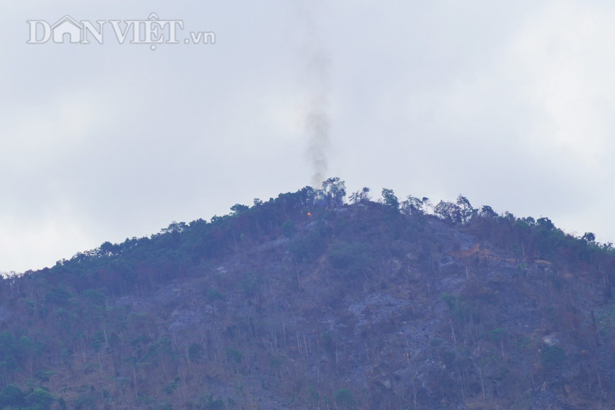 Đốt trụi thảm xanh trên núi Voi ở Bình Thuận - Ảnh 6.
