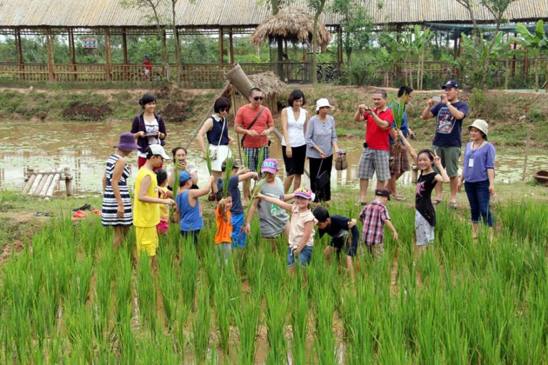 Hà Nội “se duyên” nông nghiệp với du lịch sinh thái - Ảnh 1.