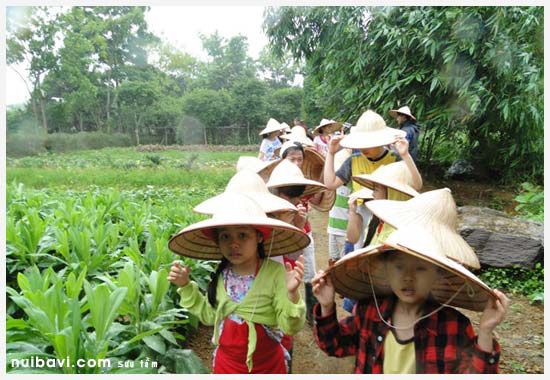 Hà Nội “se duyên” nông nghiệp với du lịch sinh thái - Ảnh 2.