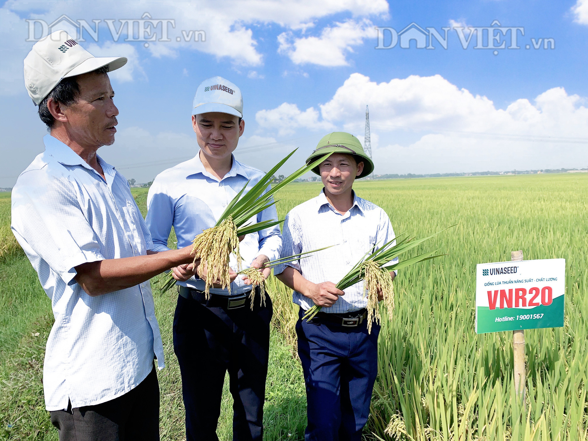 Thanh Hóa: Đẩy mạnh liên kết sản xuất và bao tiêu sản phẩm cho nông dân - Ảnh 1.